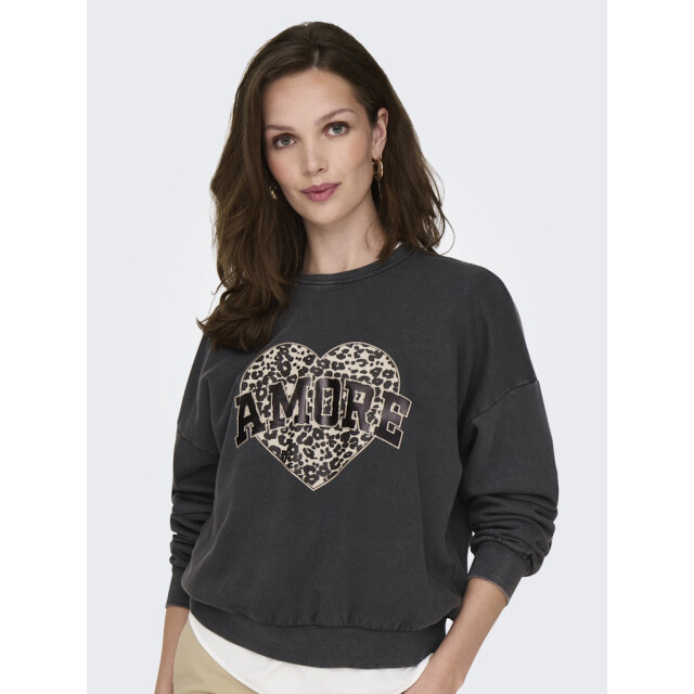 Only onllauren l/s leo o-neck cc swt 15339833 phantom 06721.980.0001 large