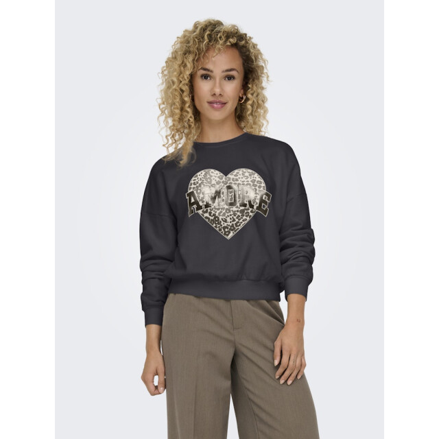 Only onllauren l/s leo o-neck cc swt 15339833 phantom 06721.980.0001 large