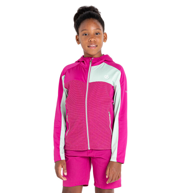 Dare2b Childrens/kids thriving core stretch hooded midlayer UTRG8625_fuchsiaraspberryrosegrayedjade large