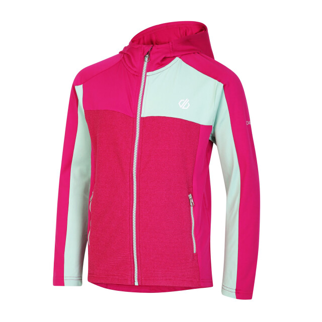 Dare2b Childrens/kids thriving core stretch hooded midlayer UTRG8625_fuchsiaraspberryrosegrayedjade large