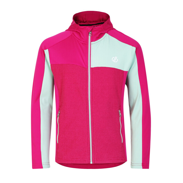 Dare2b Childrens/kids thriving core stretch hooded midlayer UTRG8625_fuchsiaraspberryrosegrayedjade large