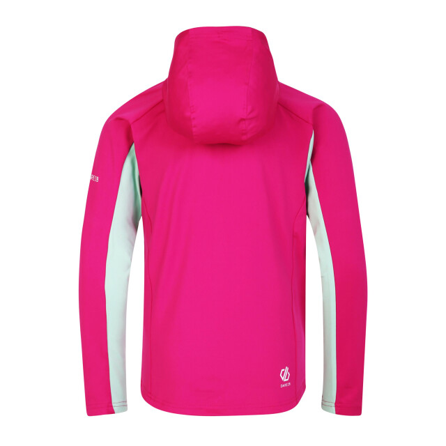 Dare2b Childrens/kids thriving core stretch hooded midlayer UTRG8625_fuchsiaraspberryrosegrayedjade large