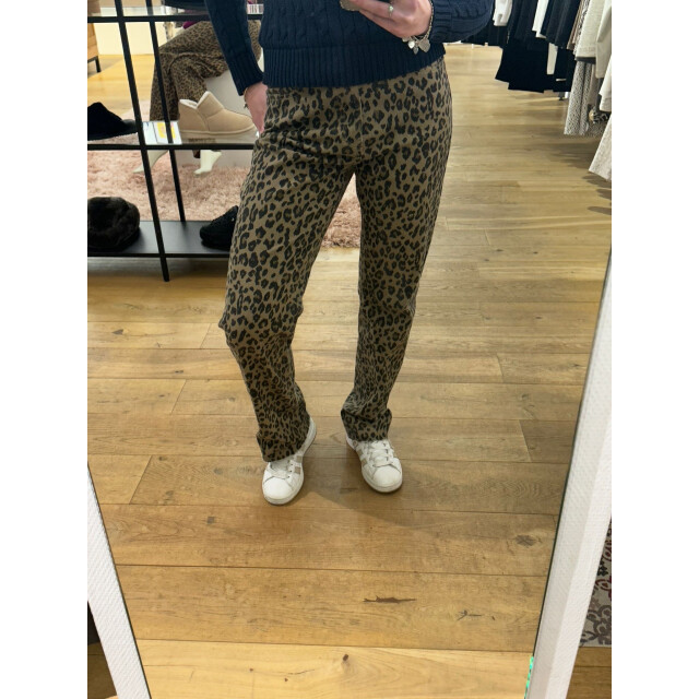 Redial Paris broek art rd2682 leopard RD2682 large