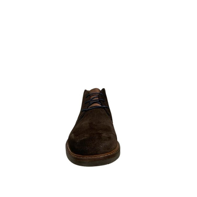 Van Lier 2458212 673 2458212 673 large