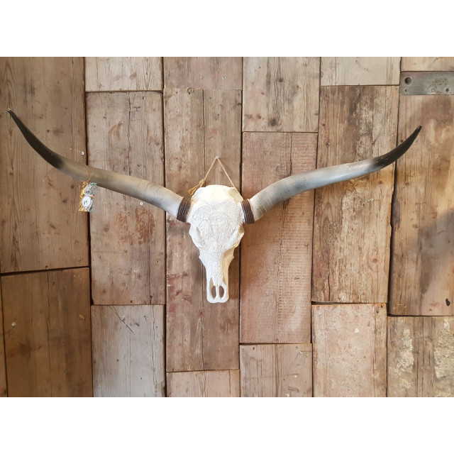 Vtw Living Longhoorn skull dierenhoofd dierenschedel voor aan de muur bufffelschedel - 3058794 large