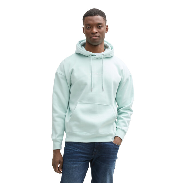 Tom Tailor Relaxed printed hoodie 1045580 large