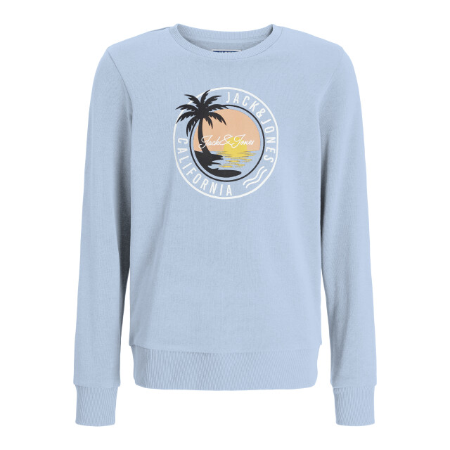 Jack & Jones Jjpalm sweat crew neck jnr 12269871 large