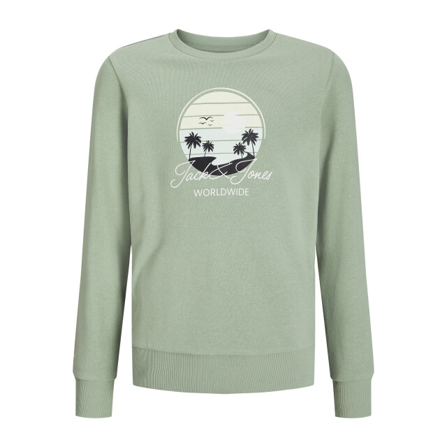 Jack & Jones Jjpalm sweat crew neck jnr 12269871 large