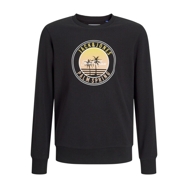 Jack & Jones Jjpalm sweat crew neck jnr 12269871 large