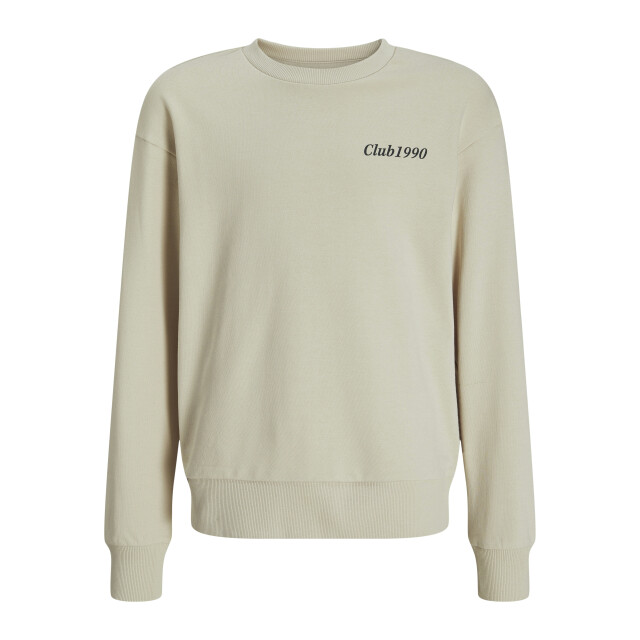 Jack & Jones Jjebradley graphic sweat crew.n jnr 12268911 large