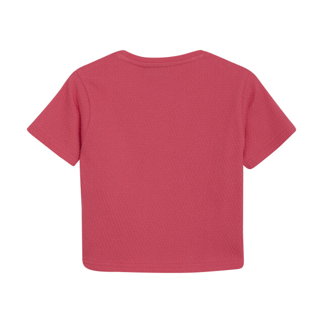 Indian Blue Zomer t-shirt s/s meisjes - cropped 970128-4112-Azalea large