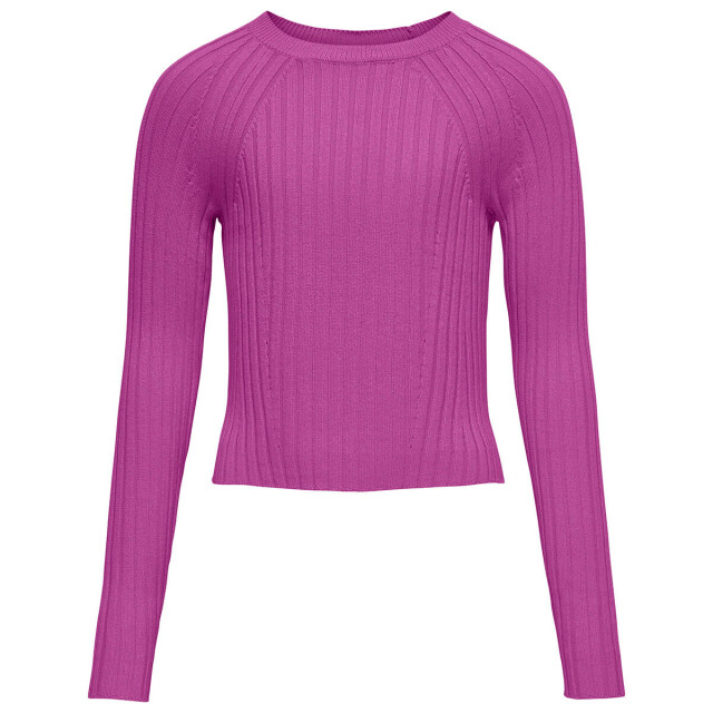Only Pullover 15326334 Kids Only Top lange mouw 15326334 large