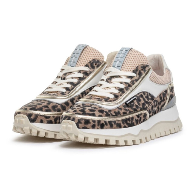 Floris van Bommel SFW-10131-34-01-Grommi 02.05 Veterschoenen Bruin SFW-10131-34-01-Grommi 02.05 large