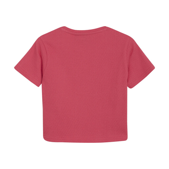 Indian Blue Zomer t-shirt s/s meisjes - cropped 970128-4112-Azalea large