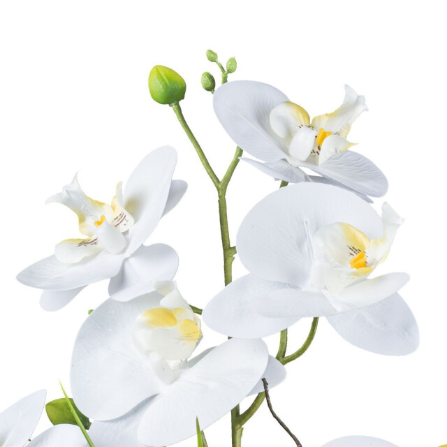 Kopu ® kunstbloem orchidee 41 cm met bloemschaal phalaenopsis 3059498 large
