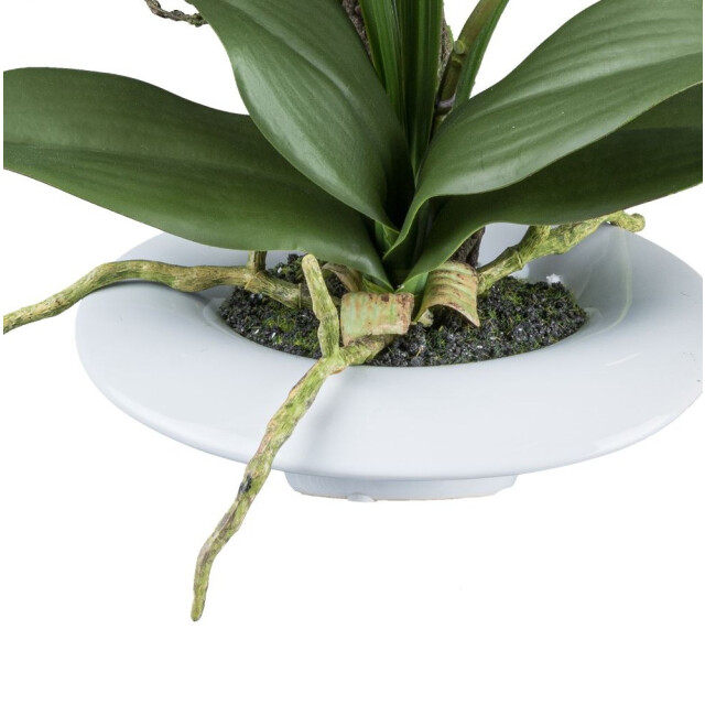 Kopu ® kunstbloem orchidee 41 cm met bloemschaal phalaenopsis 3059498 large