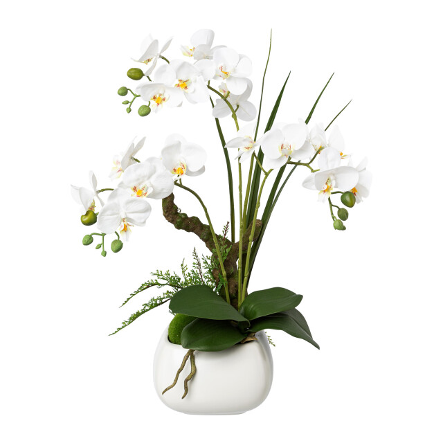 Kopu ® kunstbloem orchidee 46 cm met bloempot phalaenopsis 3059497 large