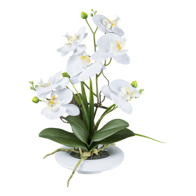 Kopu ® kunstbloem orchidee 41 cm met bloemschaal phalaenopsis 3059498 large