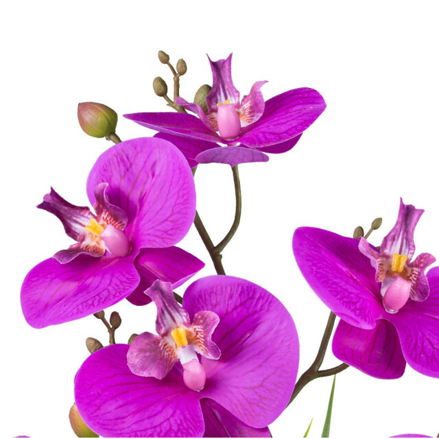 Kopu ® kunstbloem orchidee 41 cm met bloemschaal phalaenopsis 3059499 large