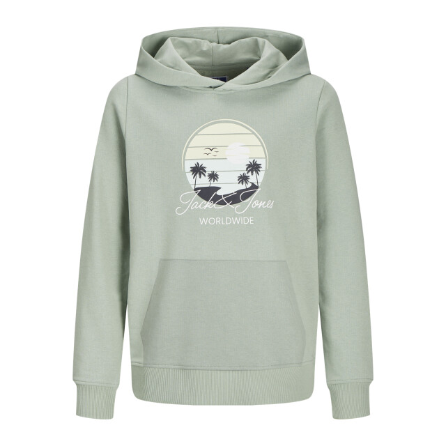 Jack & Jones Jjpalm sweat hood jnr 12269868 large