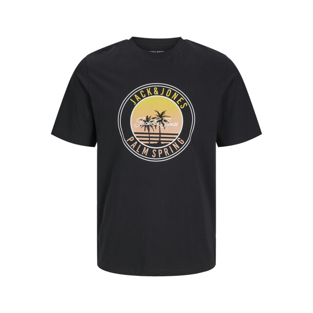Jack & Jones Jjpalm tee ss crew neck jnr 12269922 large