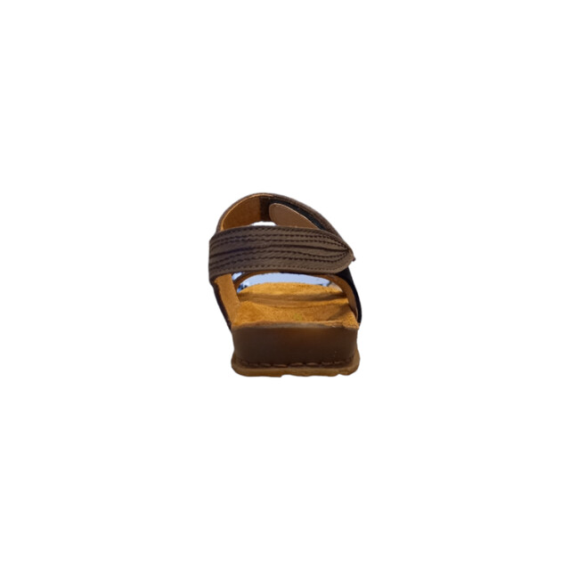 El Naturalista 5810s 5810S large