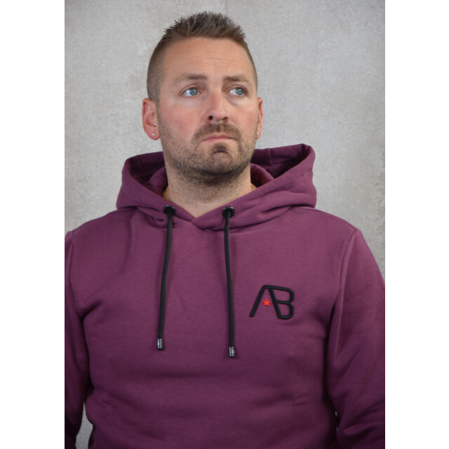 AB Lifestyle Essential hoodie 131.61.0010 large