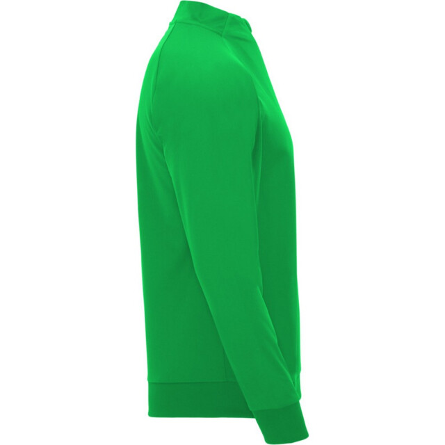 Roly Kinder/kids epiro sweatshirt met lange mouwen en korte mouwen UTPF4418_greenfern large