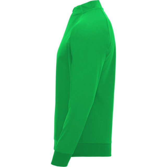 Roly Kinder/kids epiro sweatshirt met lange mouwen en korte mouwen UTPF4418_greenfern large