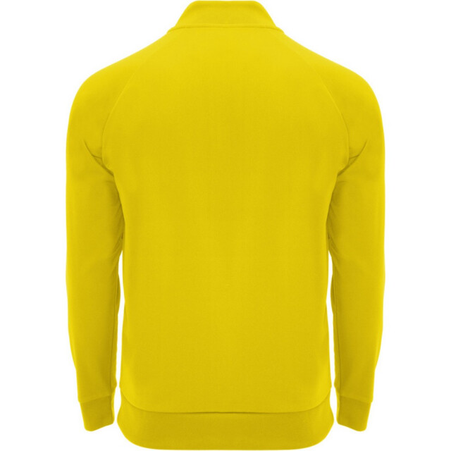 Roly Kinder/kids epiro sweatshirt met lange mouwen en korte mouwen UTPF4418_yellow large