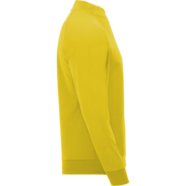 Roly Kinder/kids epiro sweatshirt met lange mouwen en korte mouwen UTPF4418_yellow large