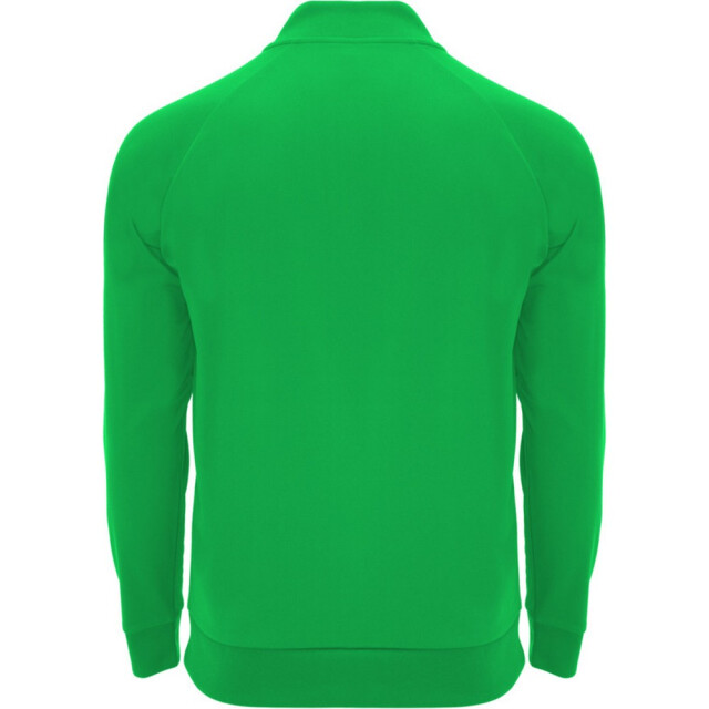 Roly Kinder/kids epiro sweatshirt met lange mouwen en korte mouwen UTPF4418_greenfern large
