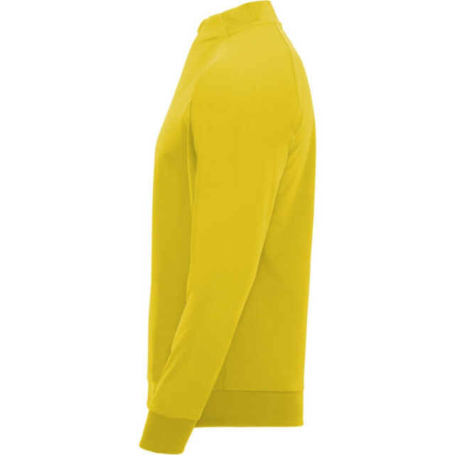 Roly Kinder/kids epiro sweatshirt met lange mouwen en korte mouwen UTPF4418_yellow large