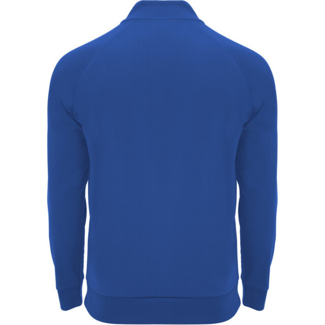 Roly Kinder/kids epiro sweatshirt met lange mouwen en korte mouwen UTPF4418_royalblue large