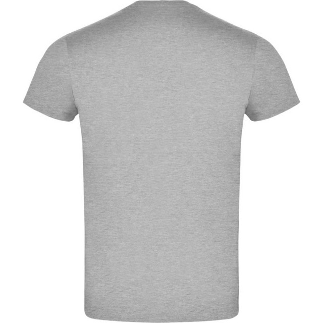 Roly Heren atomic heather t-shirt UTLT4409_heathergrey large