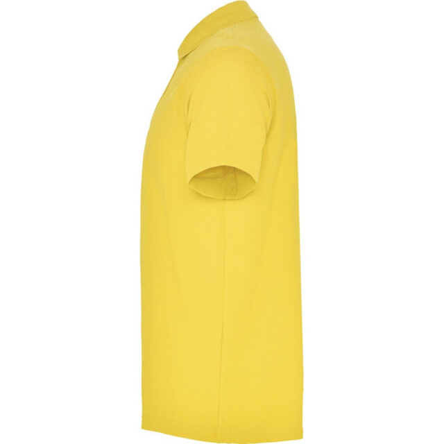 Roly Unisex austral austral poloshirt met korte mouwen voor volwassenen UTPF4344_yellow large