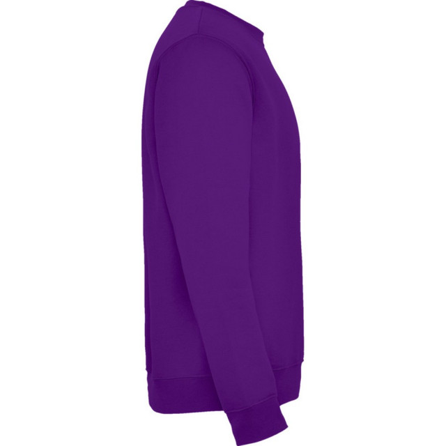 Roly Kinderen/kinderen clasica sweatshirt met ronde hals UTPF4338_purple large