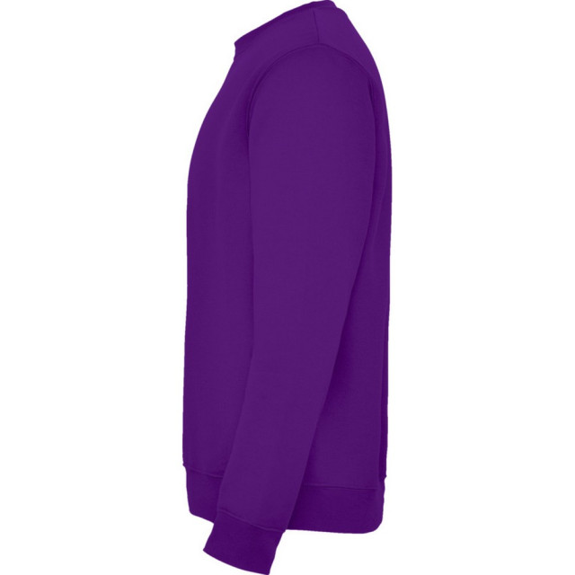 Roly Kinderen/kinderen clasica sweatshirt met ronde hals UTPF4338_purple large