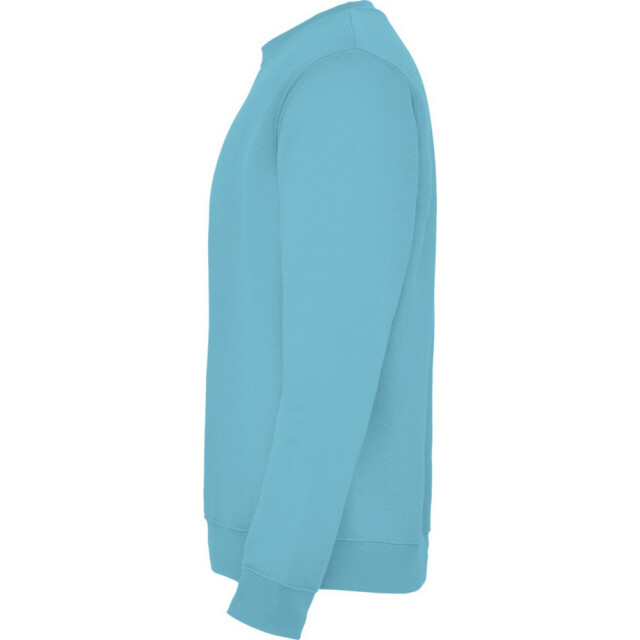 Roly Kinderen/kinderen clasica sweatshirt met ronde hals UTPF4338_turquoise large