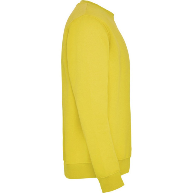 Roly Kinderen/kinderen clasica sweatshirt met ronde hals UTPF4338_yellow large