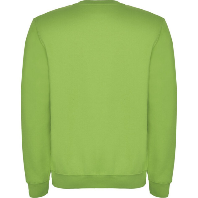 Roly Kinderen/kinderen clasica sweatshirt met ronde hals UTPF4338_oasisgreen large