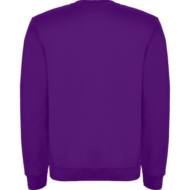 Roly Kinderen/kinderen clasica sweatshirt met ronde hals UTPF4338_purple large