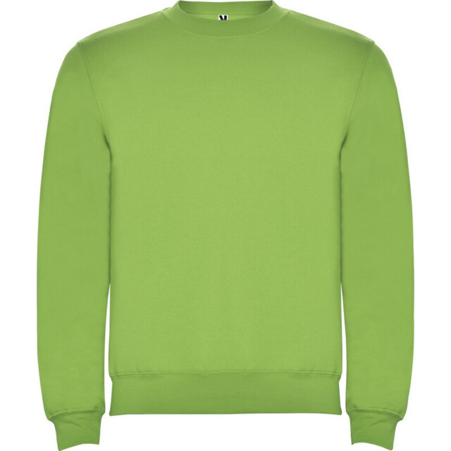 Roly Kinderen/kinderen clasica sweatshirt met ronde hals UTPF4338_oasisgreen large