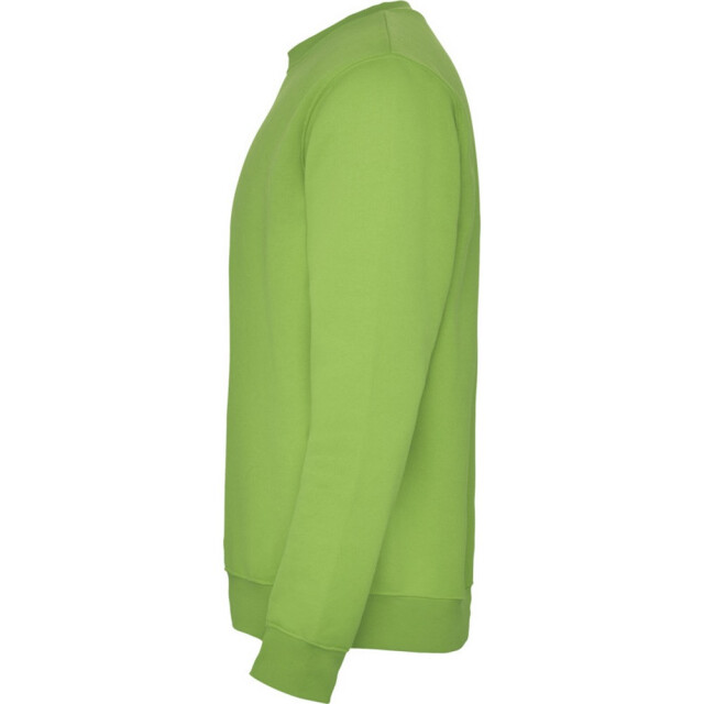 Roly Kinderen/kinderen clasica sweatshirt met ronde hals UTPF4338_oasisgreen large