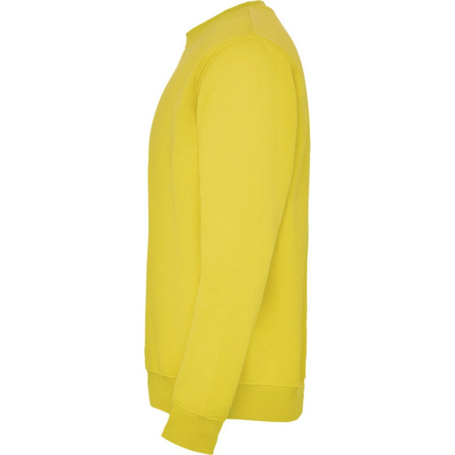 Roly Kinderen/kinderen clasica sweatshirt met ronde hals UTPF4338_yellow large