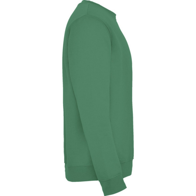 Roly Kinderen/kinderen clasica sweatshirt met ronde hals UTPF4338_kellygreen large