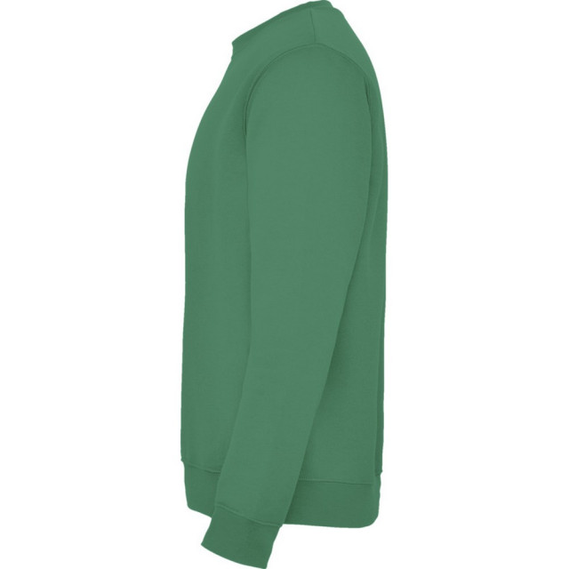 Roly Kinderen/kinderen clasica sweatshirt met ronde hals UTPF4338_kellygreen large