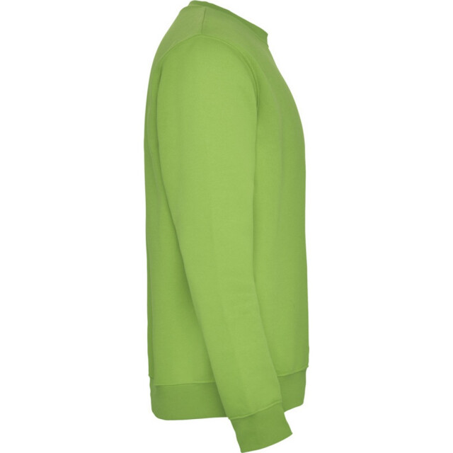 Roly Kinderen/kinderen clasica sweatshirt met ronde hals UTPF4338_oasisgreen large