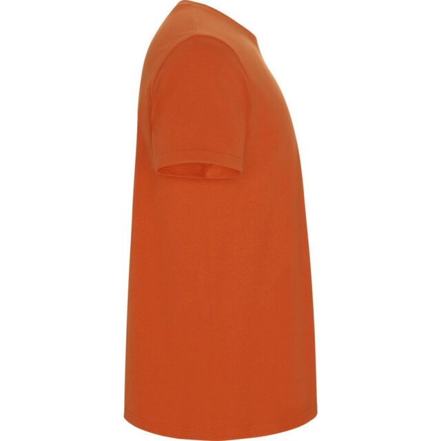 Roly Kinder/kinder stafford t-shirt met korte mouwen UTPF4336_orange large