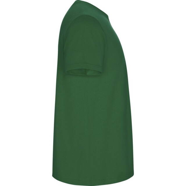 Roly Kinder/kinder stafford t-shirt met korte mouwen UTPF4336_kellygreen large